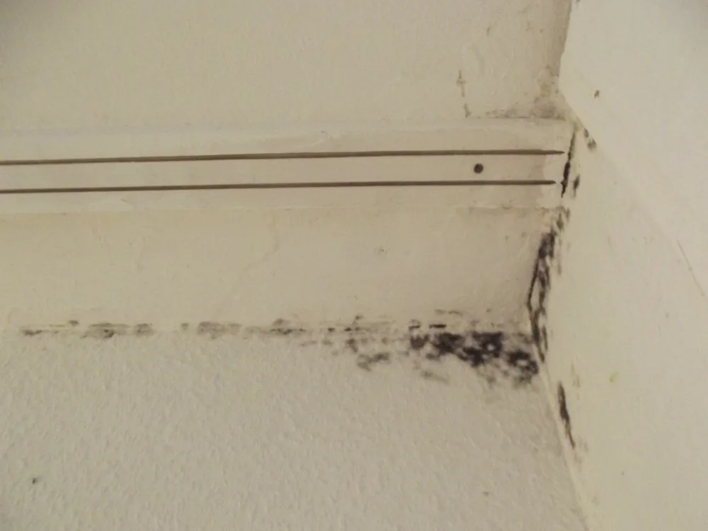 Technician in protective gear removing a mold-damaged wall in a Manasquan home